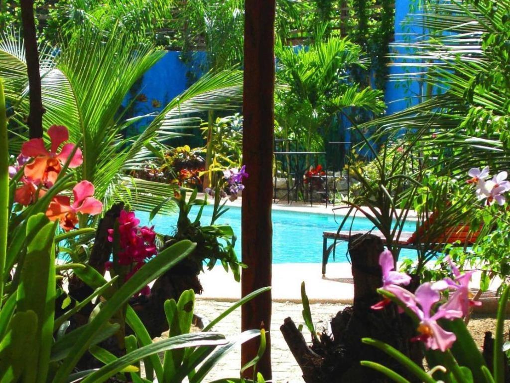 Alta Cebu Resort Екстер'єр фото